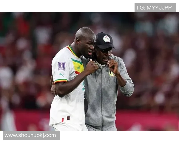 尼日尔足球球星崛起引领非洲绿茵场新时代风潮 尼日尔足球球星崛起引领非洲绿茵场新时代风潮