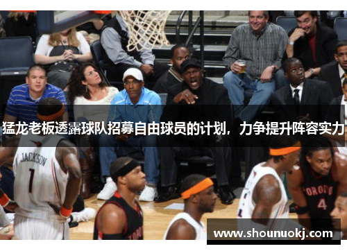 猛龙老板透露球队招募自由球员的计划，力争提升阵容实力